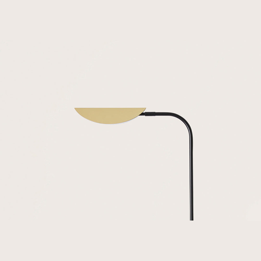 Close view of the leaf-shaped matt brass shade on a curved black stem