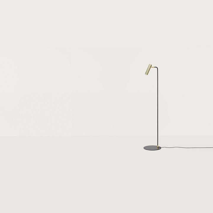 Maru Floor Lamp, thin black stem with an angled brass tube spotlight and round black base, by Aromas del Campo