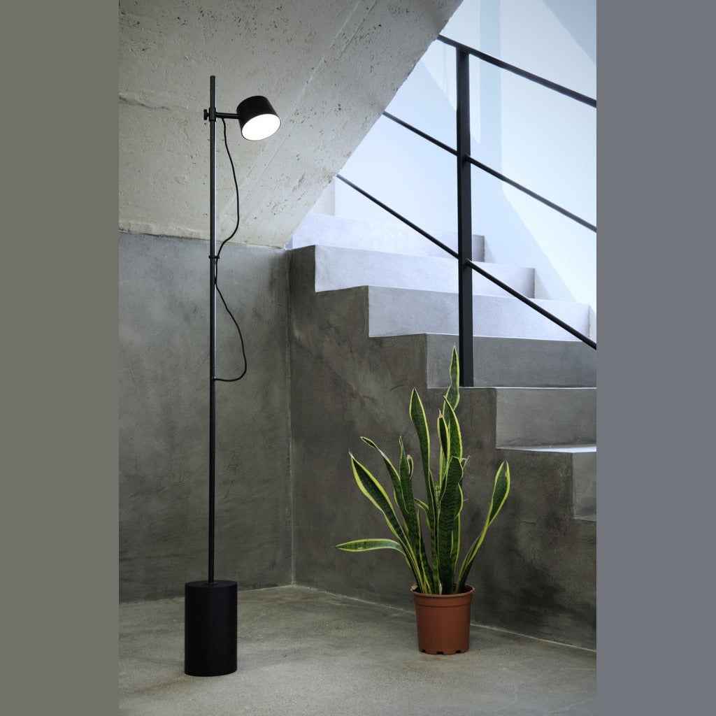 Black floor lamp lit in a concrete stairwell next to a potted snake plant