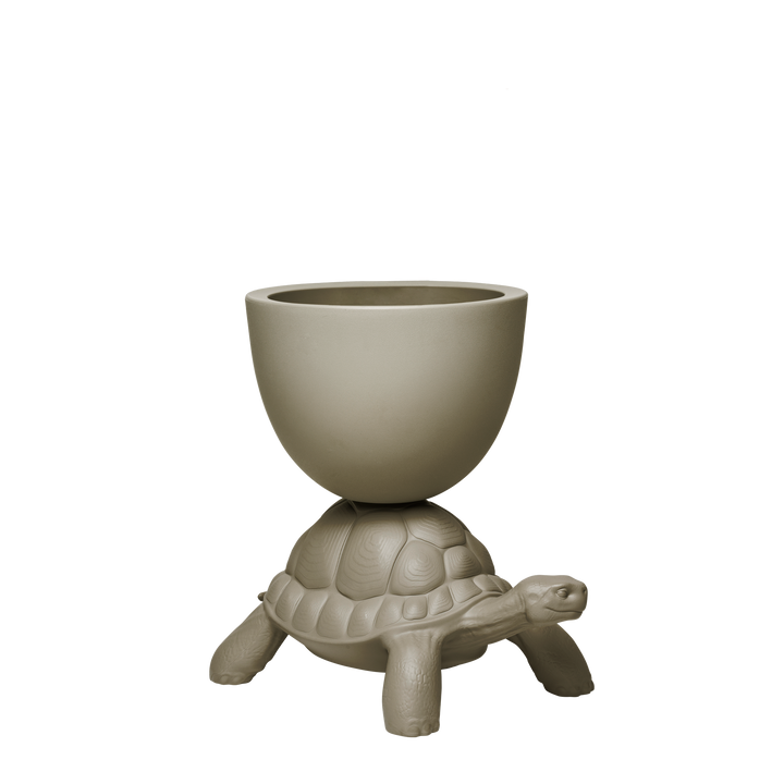 Turtle Carry Planter and Champagne Cooler
