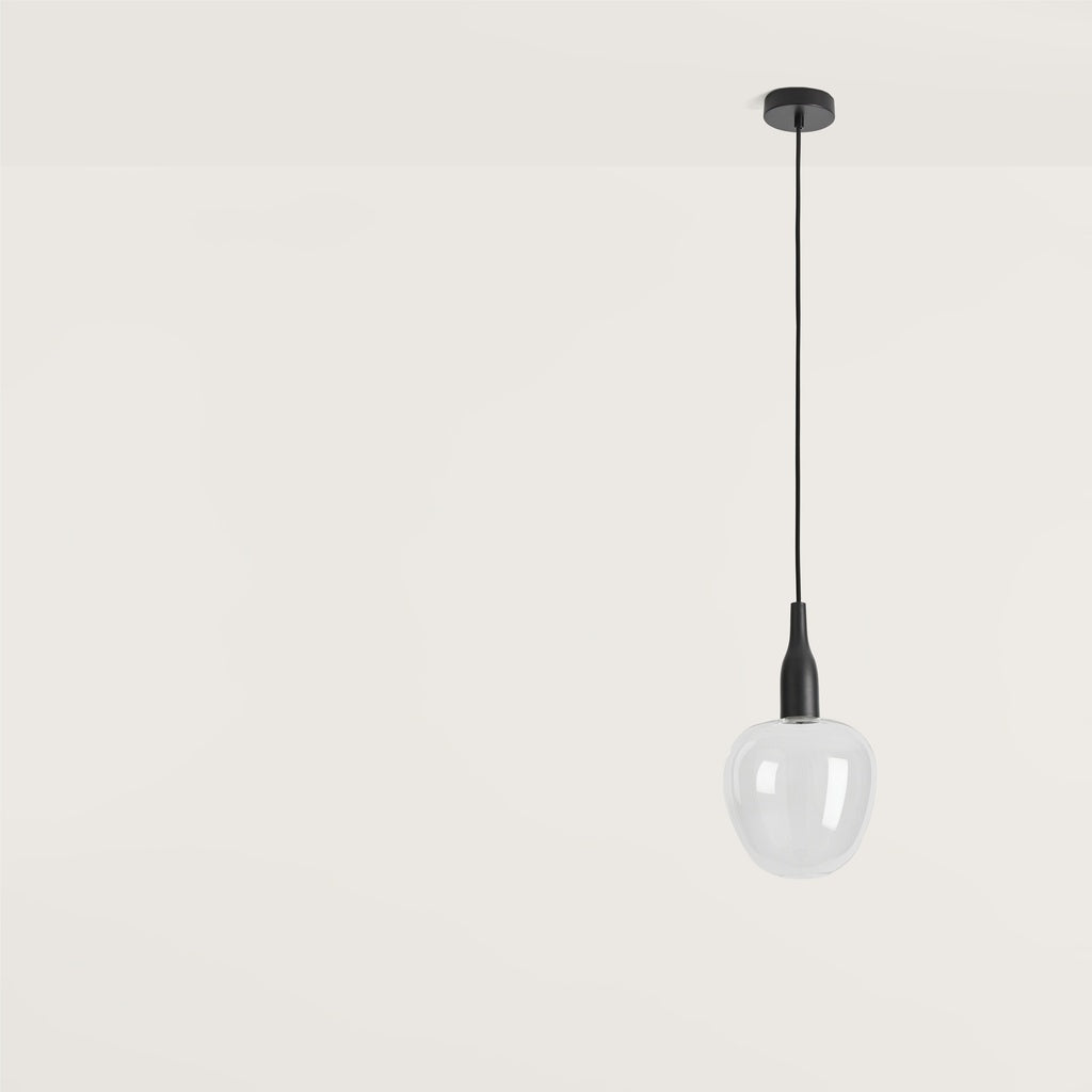 C1012 Pendant Lamp