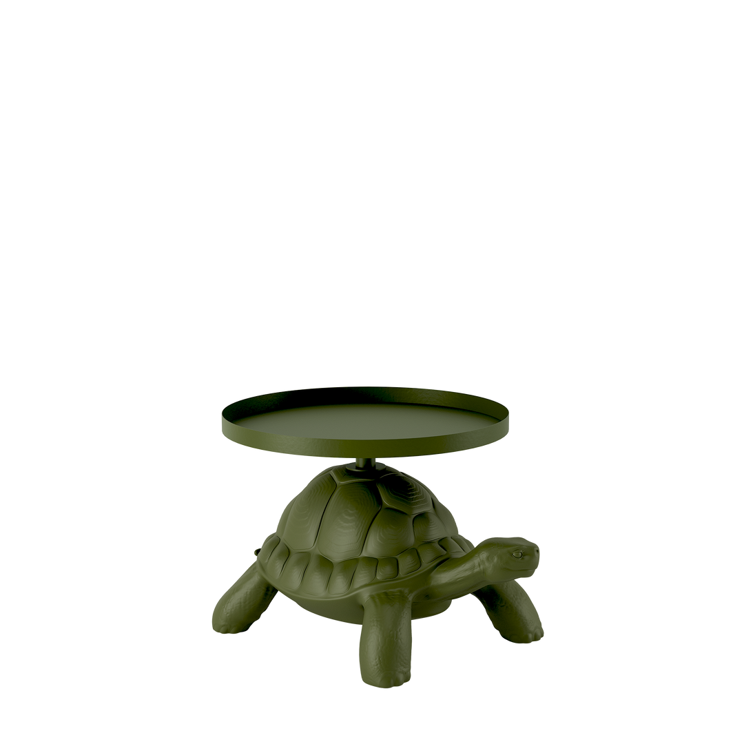 Turtle Carry Table Tray
