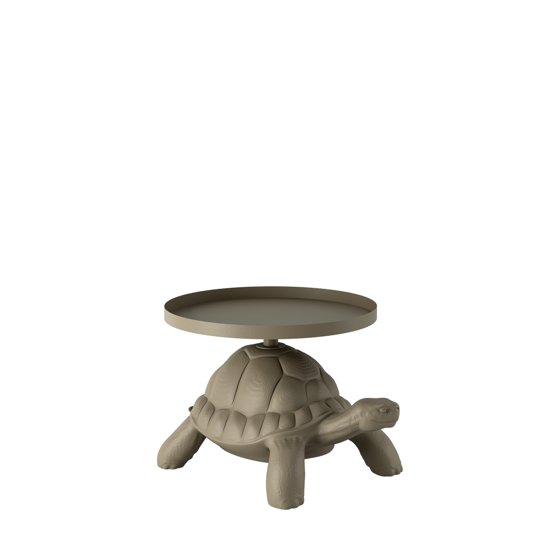 Turtle Carry Table Tray