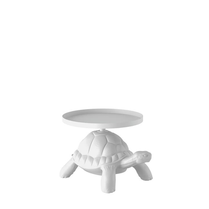 Turtle Carry Table Tray
