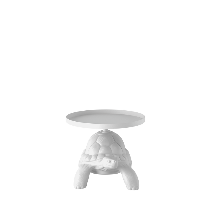 Turtle Carry Table Tray