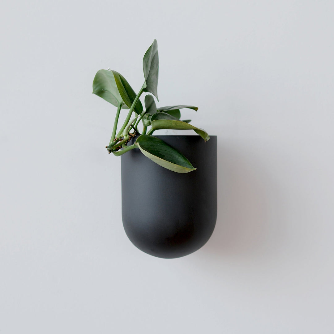 matte black hanging planter Bender Wall Planter Black
