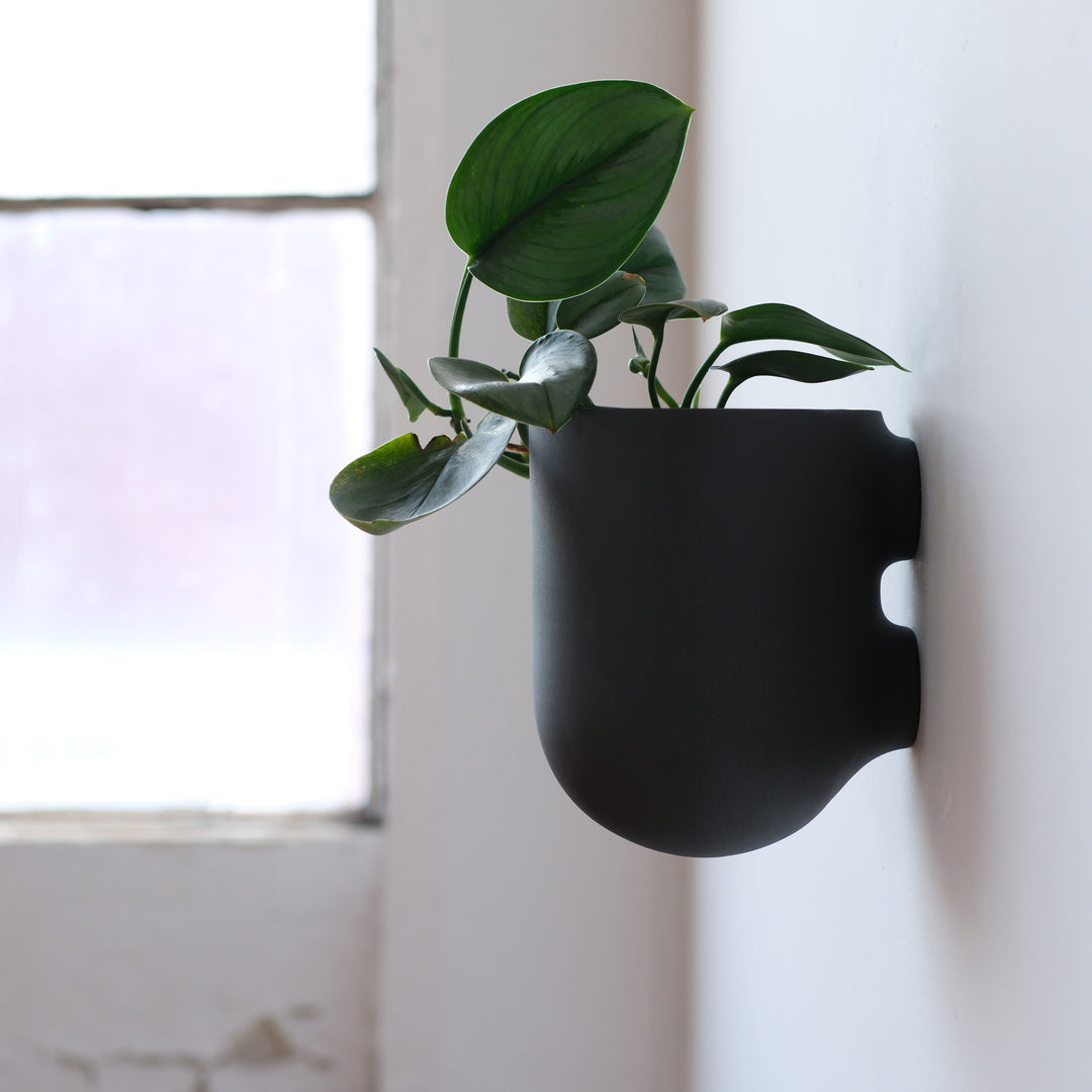 matte black hanging planter Bender Wall Planter Black
