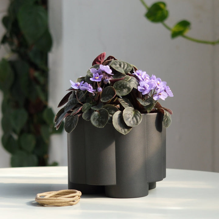 Pillar Planter