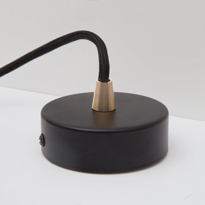 Elva Pendant Light Non-Tinted in Brass
