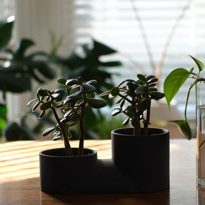 Double Planter