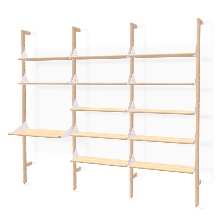 Branch-3 Shelving Unit with Desk