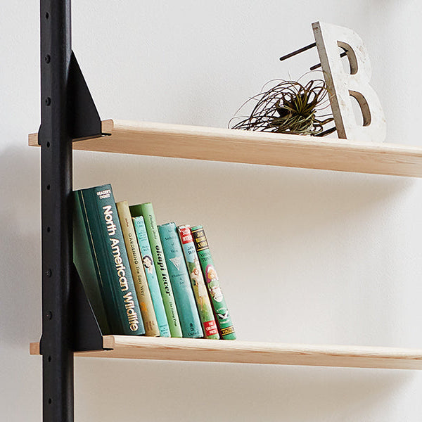 Branch Shelves 3 Pack