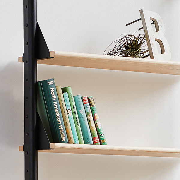 Branch Shelves 5 Pack