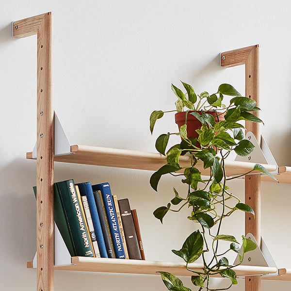 Branch Shelves 3 Pack