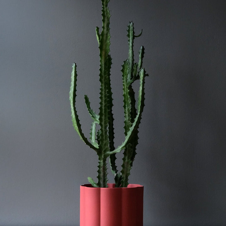 Pillar Planter