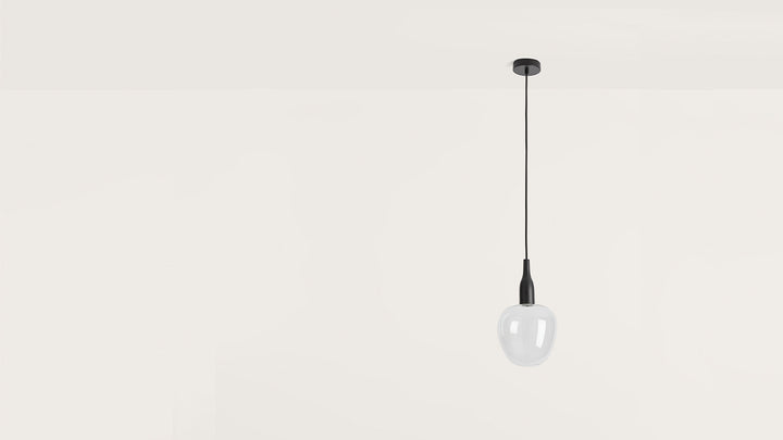 C1012 Pendant Lamp