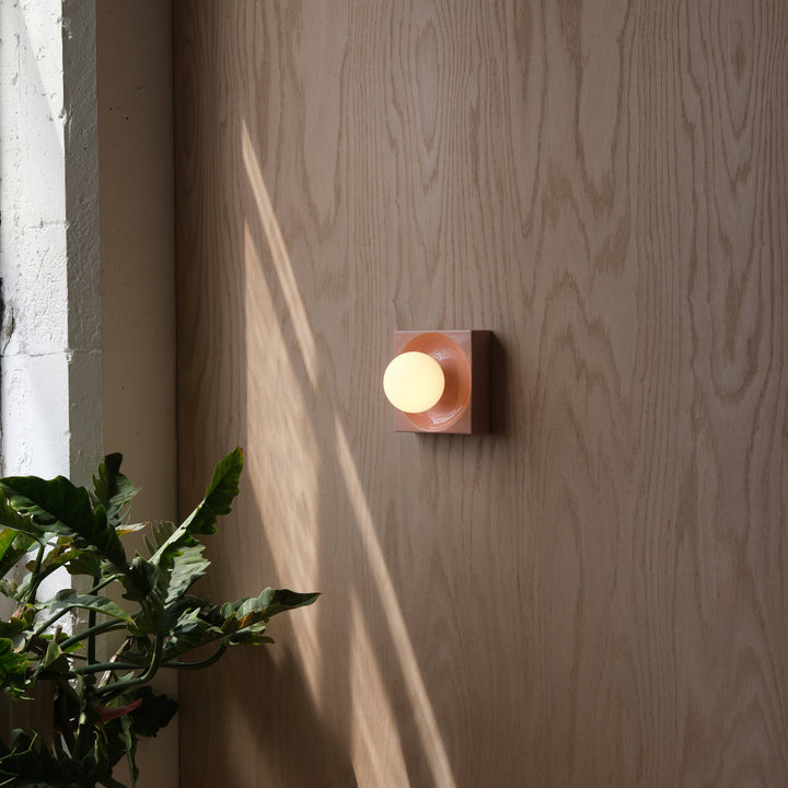Modern wall sconce with matte pink ceramic base and frosted glass globe, mounted on wood paneling beside leafy green plant