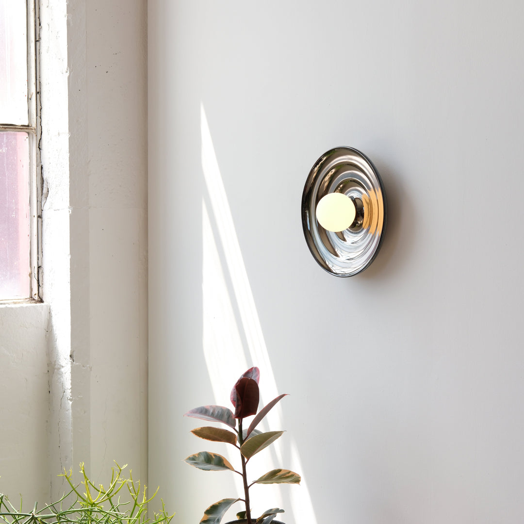 Polished brass wall sconce with frosted glass globe, styled beside a leafy plant in soft sunlight