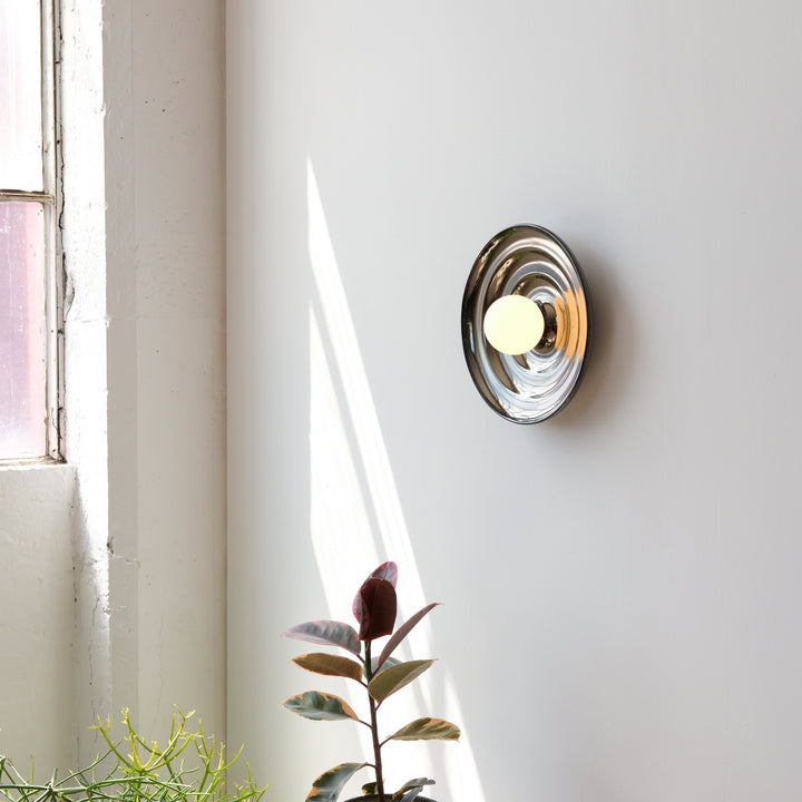 Polished brass wall sconce with frosted glass globe, styled beside a leafy plant in soft sunlight