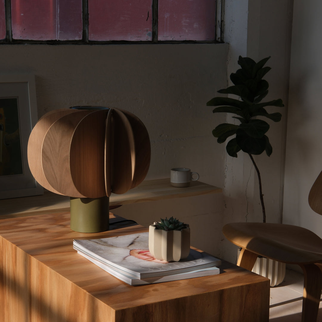 Wooden sculptural lamp with olive base, styled with succulent and magazines in warm natural light