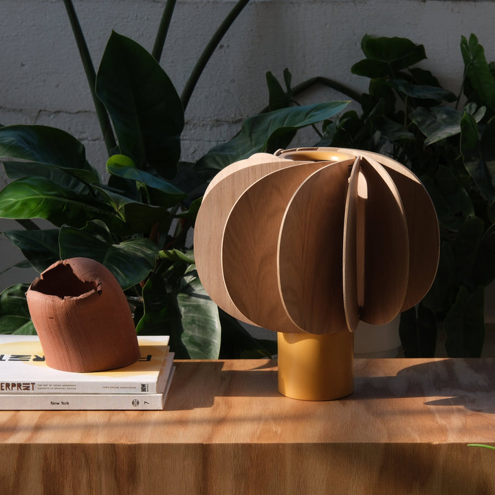 Scandinavian oak lamp with brass base, styled with terracotta vase and design books