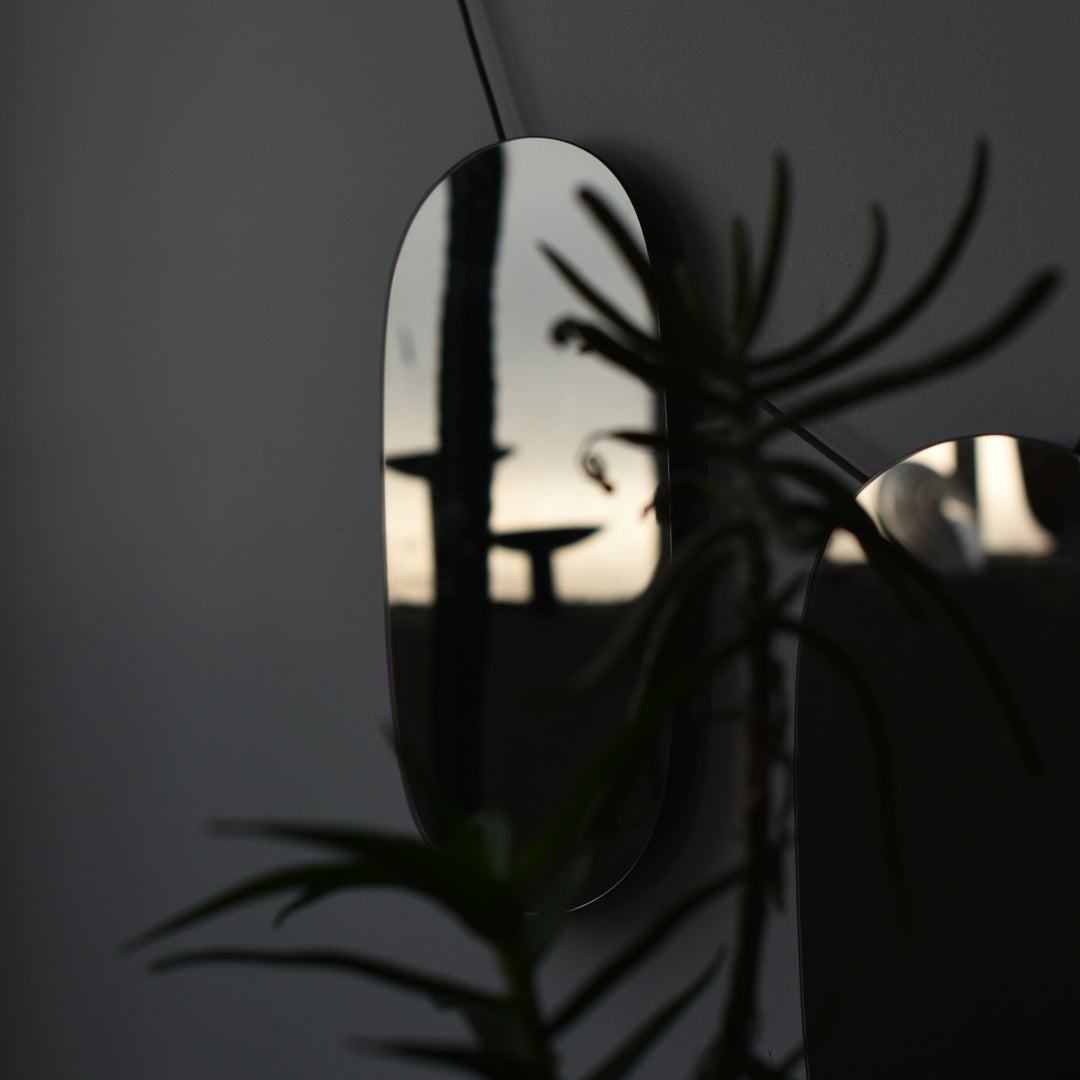 Oval wall mirror with sleek frame, reflecting minimalist decor and greenery