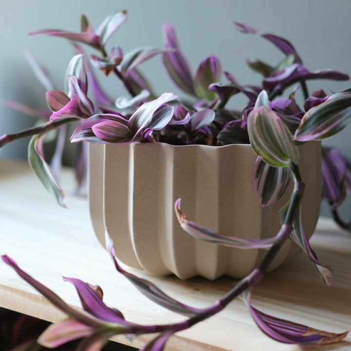 Wrap Planter