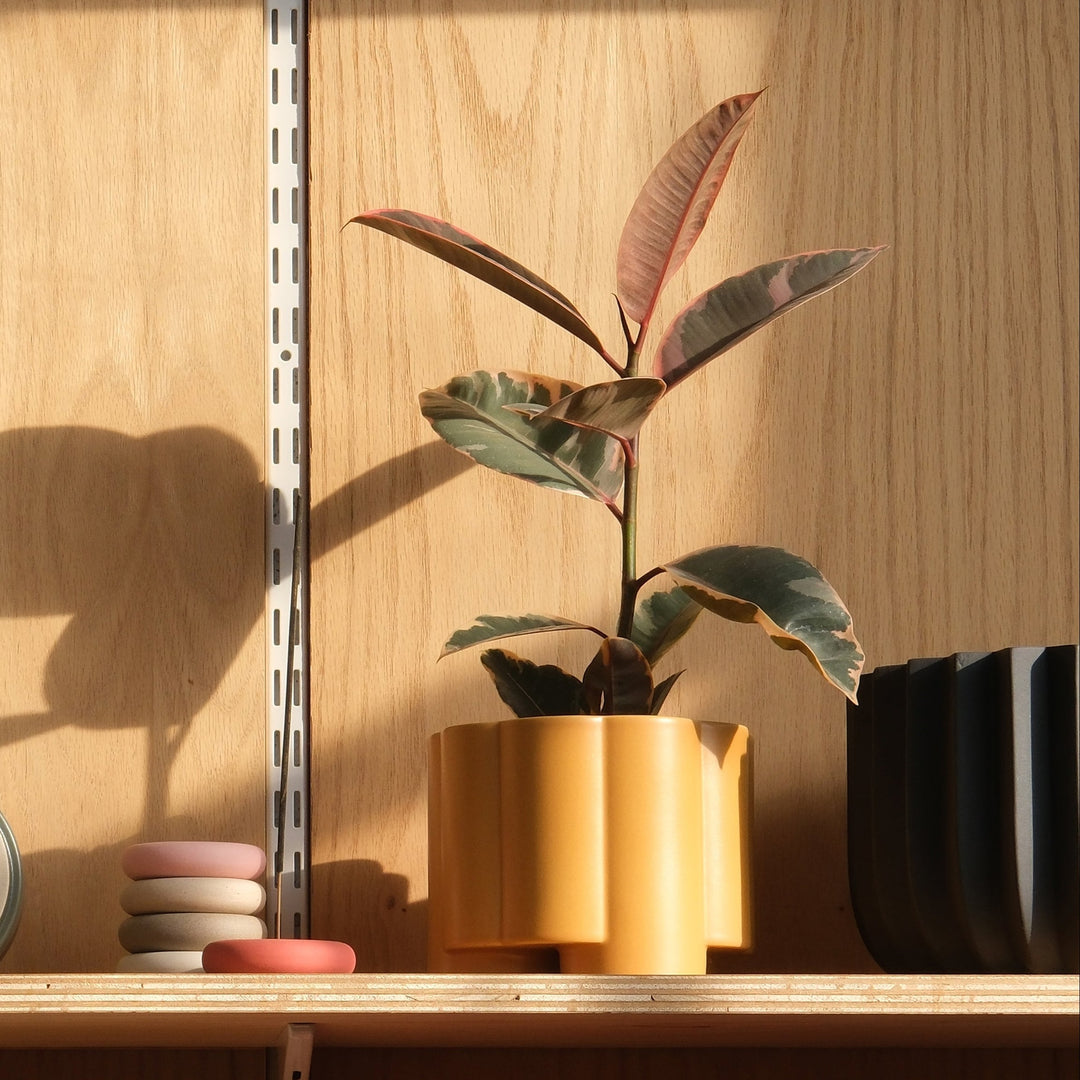 Pillar Planter