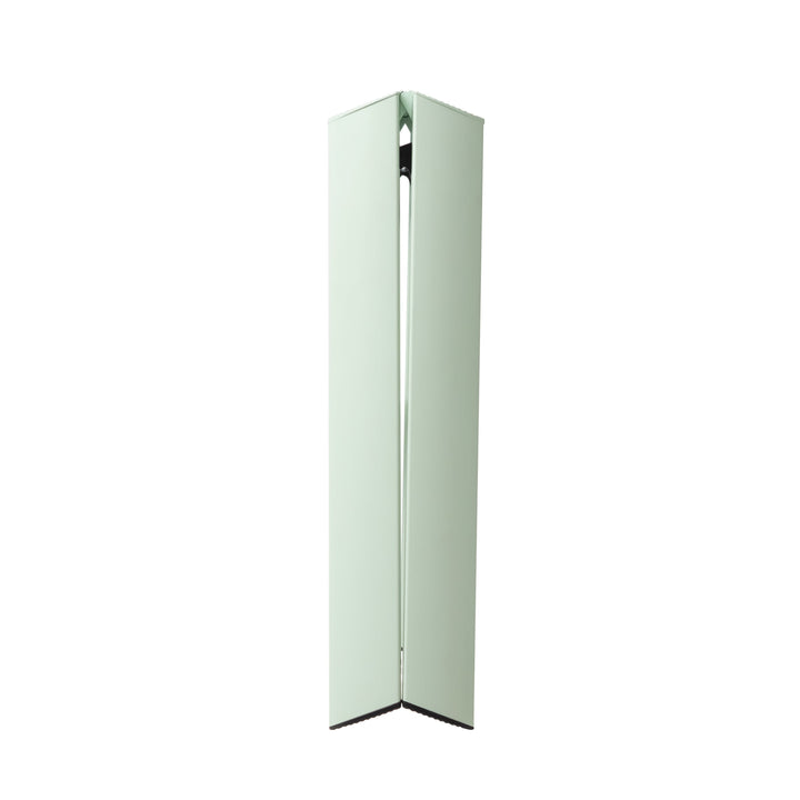 Lucano Step Ladder 2-Step MINT GREEN