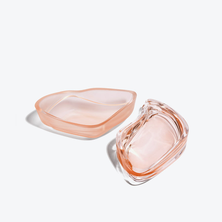 Plex Vessel, Set of 2 — Rose vessels open side by side, frosted and polished glass, top view
