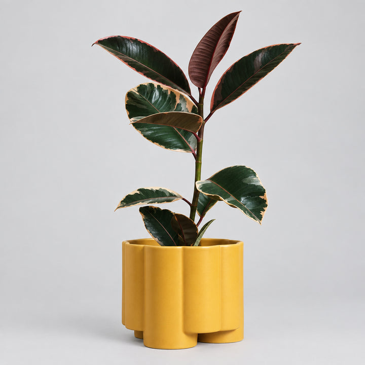 Pillar Planter