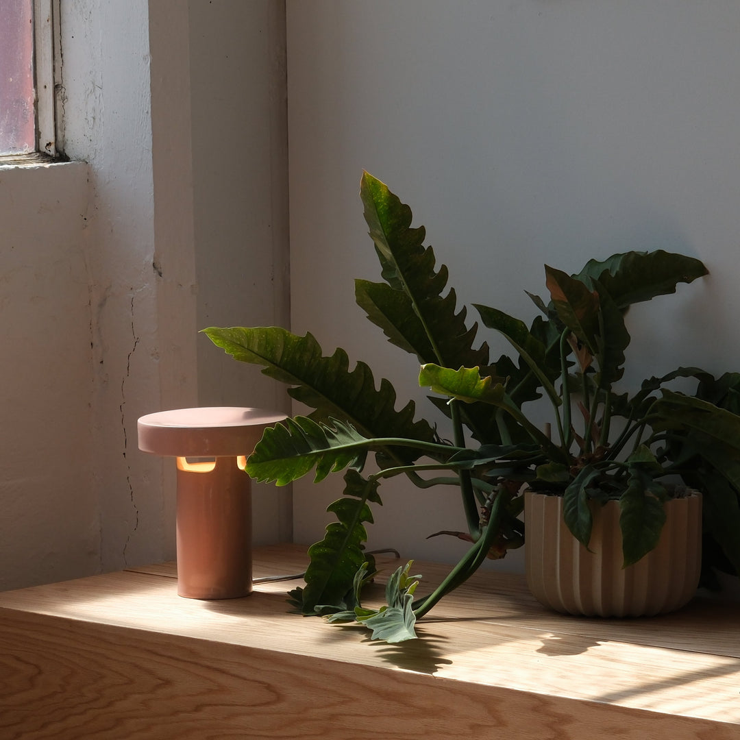 Ceramic table lamp beside leafy plant in ribbed planter, bathed in natural light
