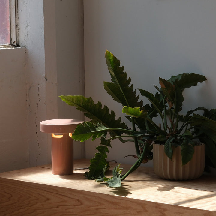 Ceramic table lamp beside leafy plant in ribbed planter, bathed in natural light