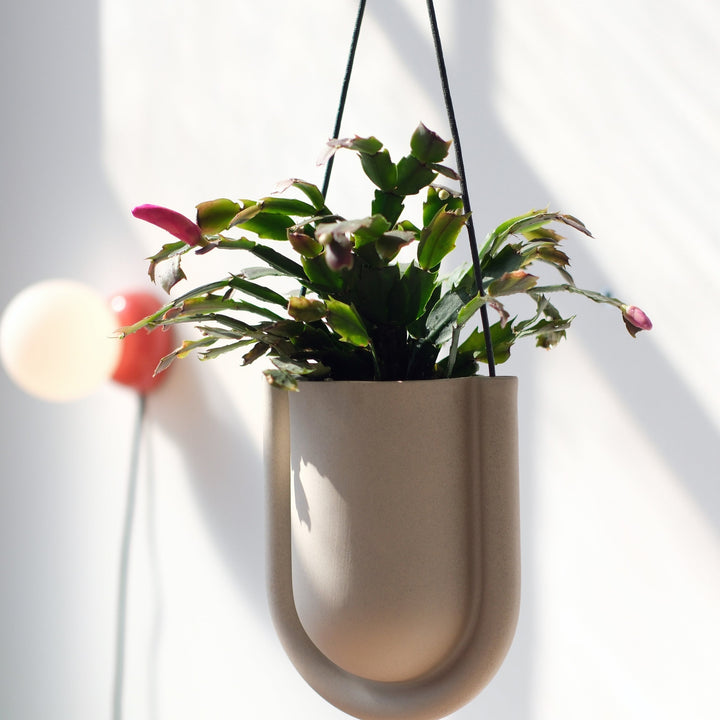 Portico Planter
