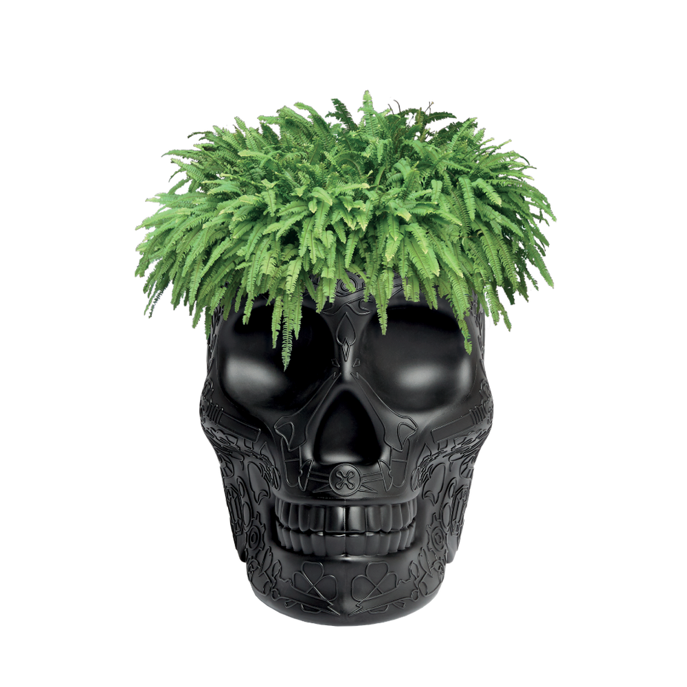 Mexico Planter and Champagne Cooler Ivory design Studio Job