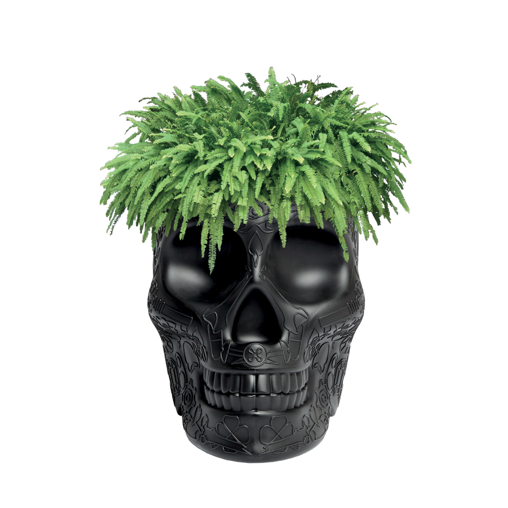 Mexico Planter and Champagne Cooler Ivory design Studio Job