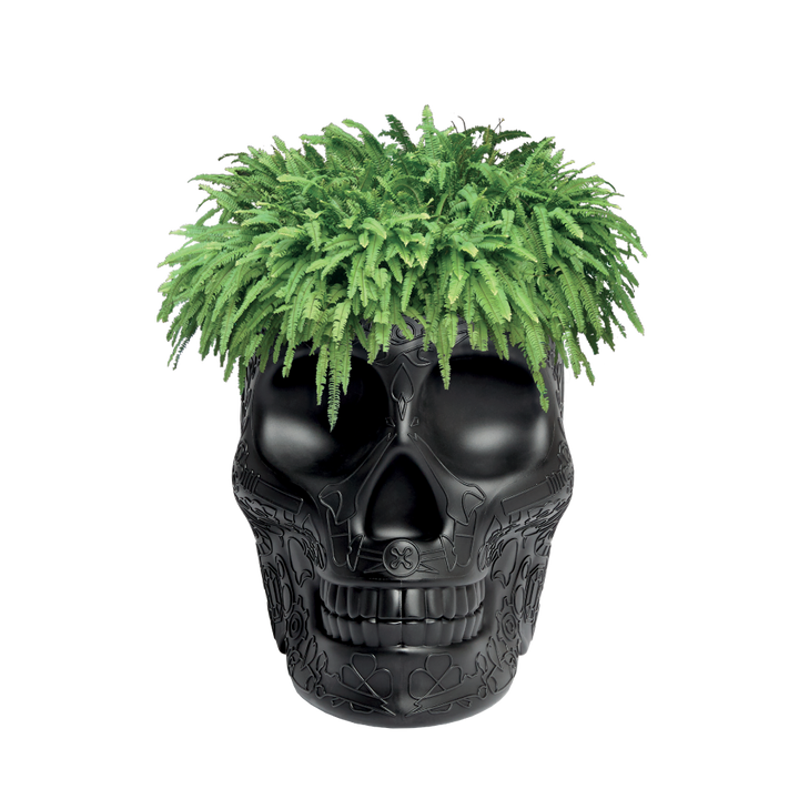 Mexico Planter and Champagne Cooler Ivory design Studio Job