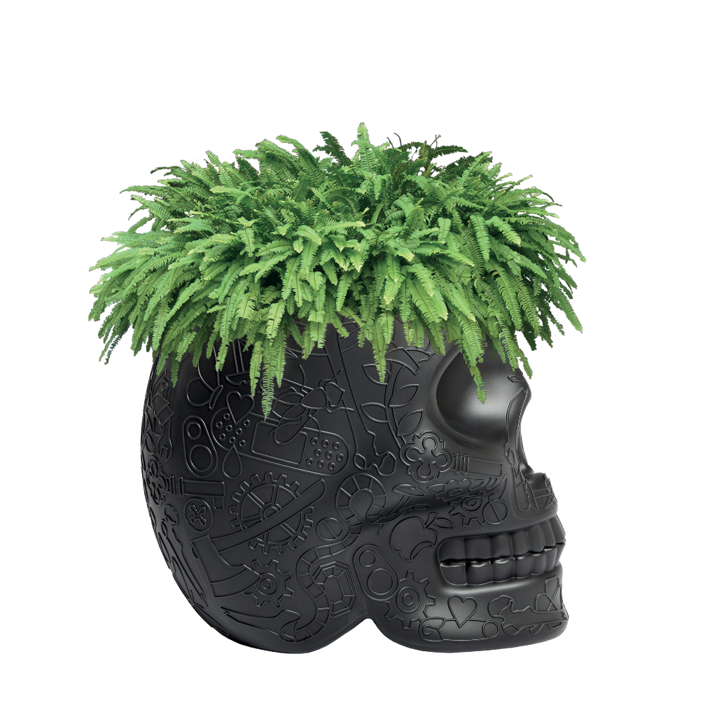 Mexico Planter and Champagne Cooler Ivory design Studio Job