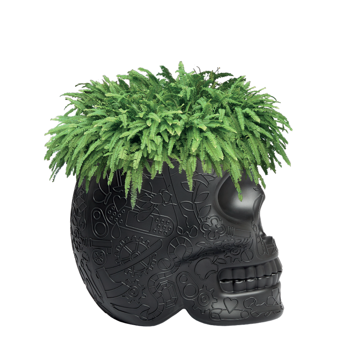 Mexico Planter and Champagne Cooler Ivory design Studio Job