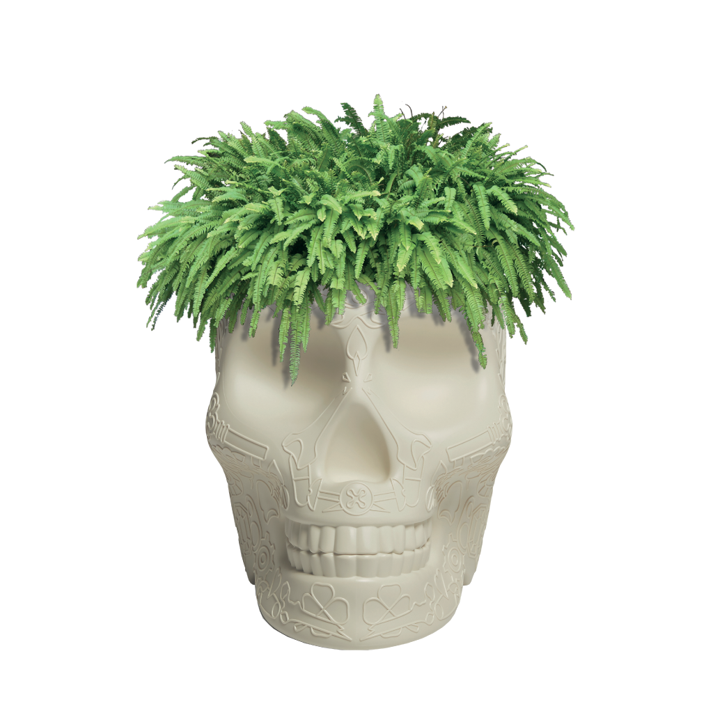 Mexico Planter and Champagne Cooler Ivory design Studio Job