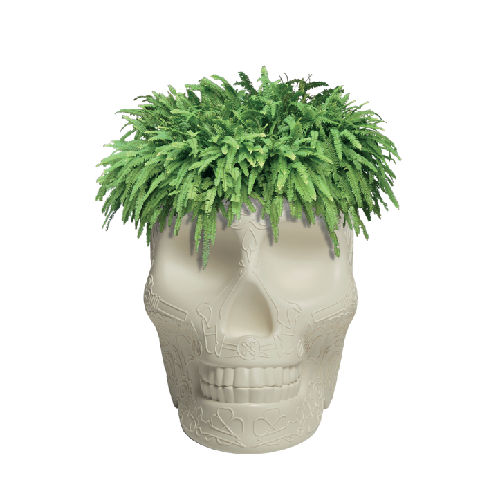 Mexico Planter and Champagne Cooler Ivory design Studio Job