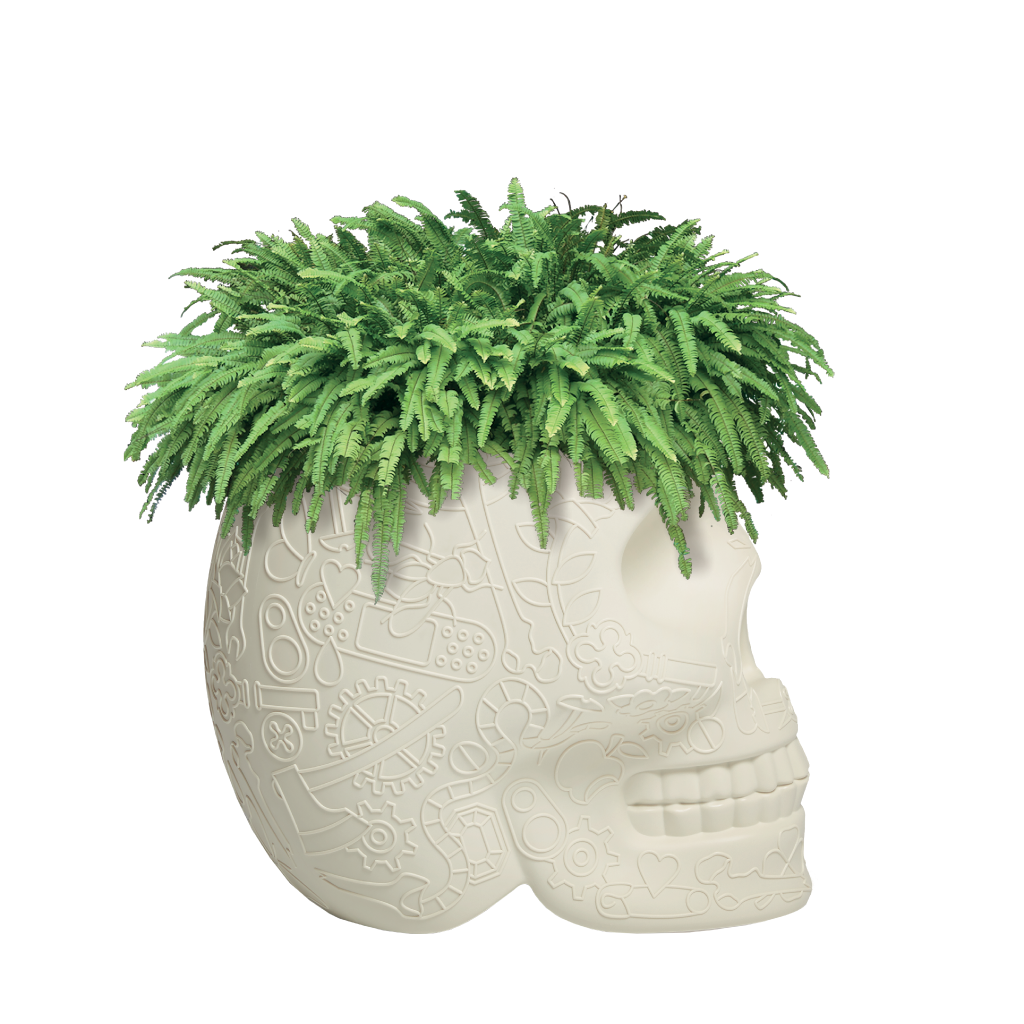 Mexico Planter and Champagne Cooler Ivory design Studio Job