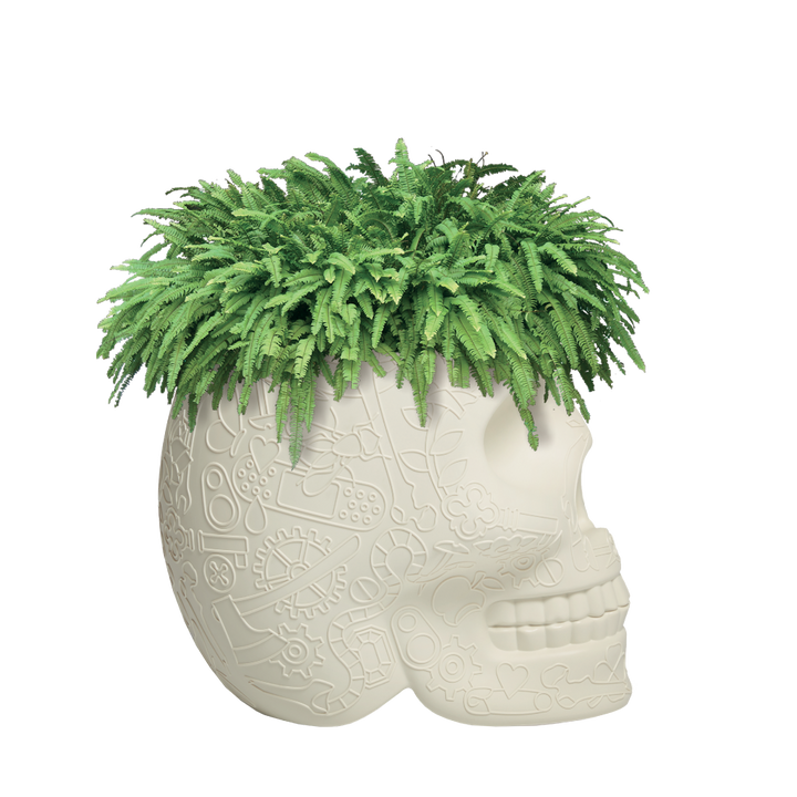 Mexico Planter and Champagne Cooler Ivory design Studio Job