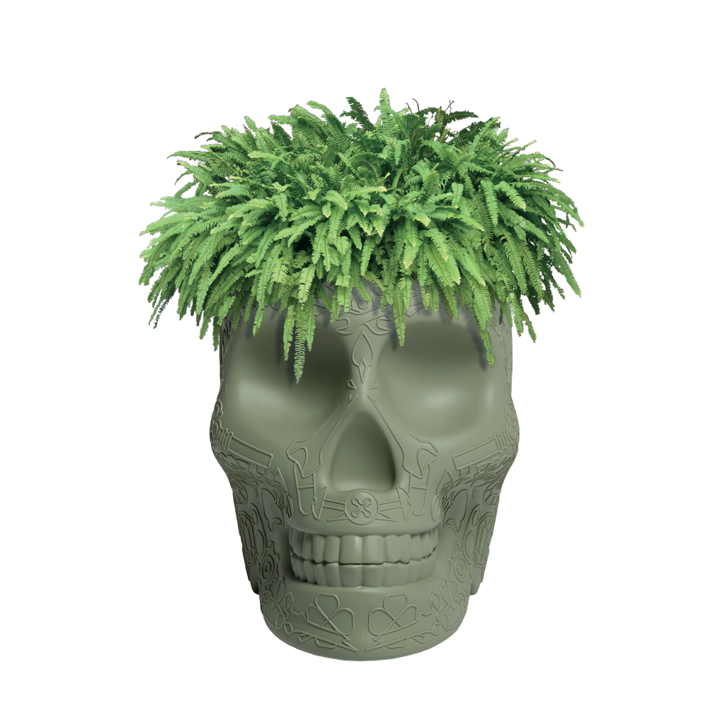 Mexico Planter and Champagne Cooler Ivory design Studio Job