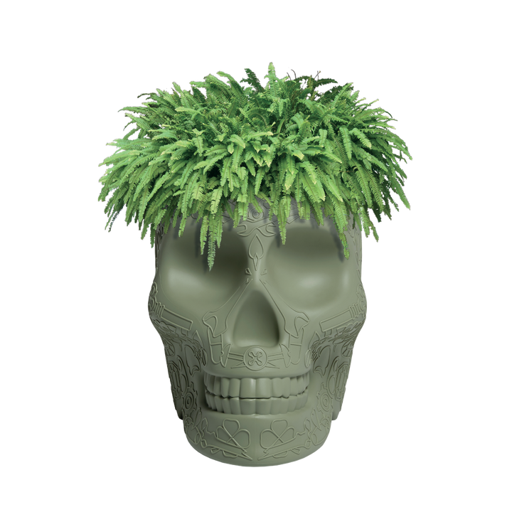 Mexico Planter and Champagne Cooler Ivory design Studio Job