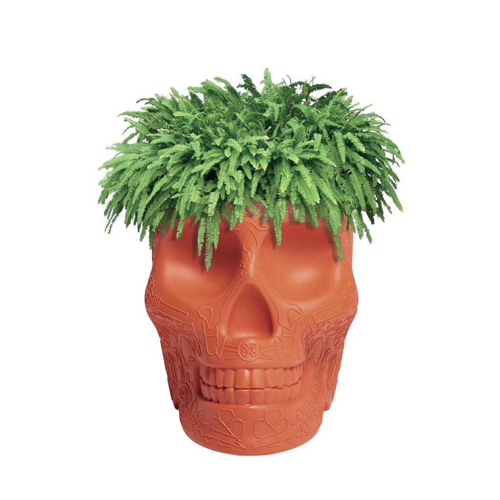 Mexico Planter and Champagne Cooler Ivory design Studio Job