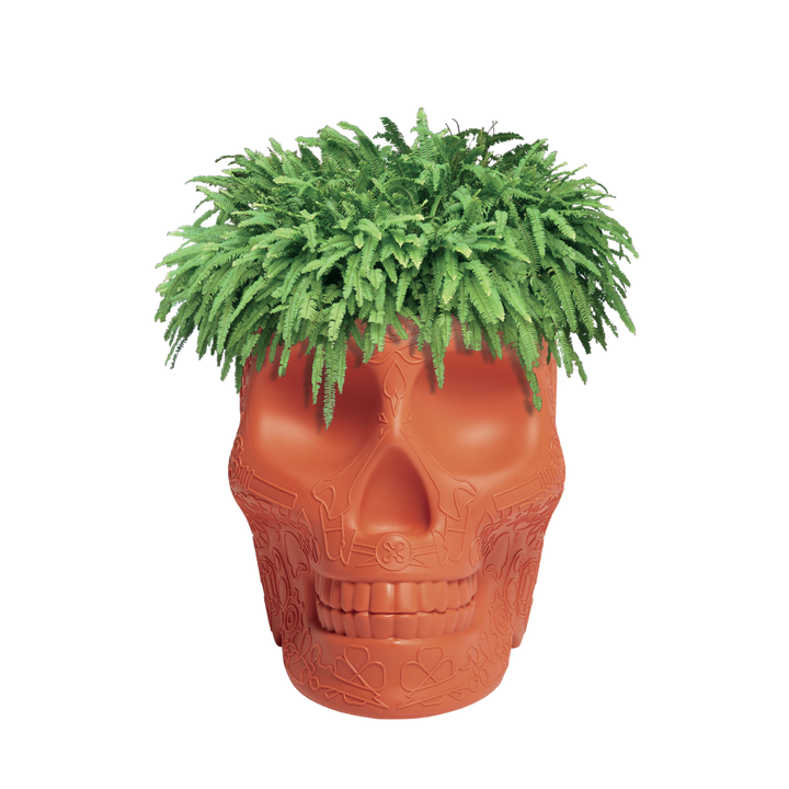 Mexico Planter and Champagne Cooler Ivory design Studio Job