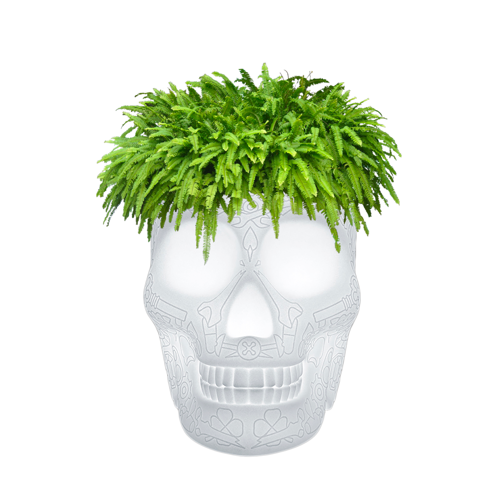 Mexico Planter and Champagne Cooler Lamp with Rechargeable Led Translucent design Studio Job