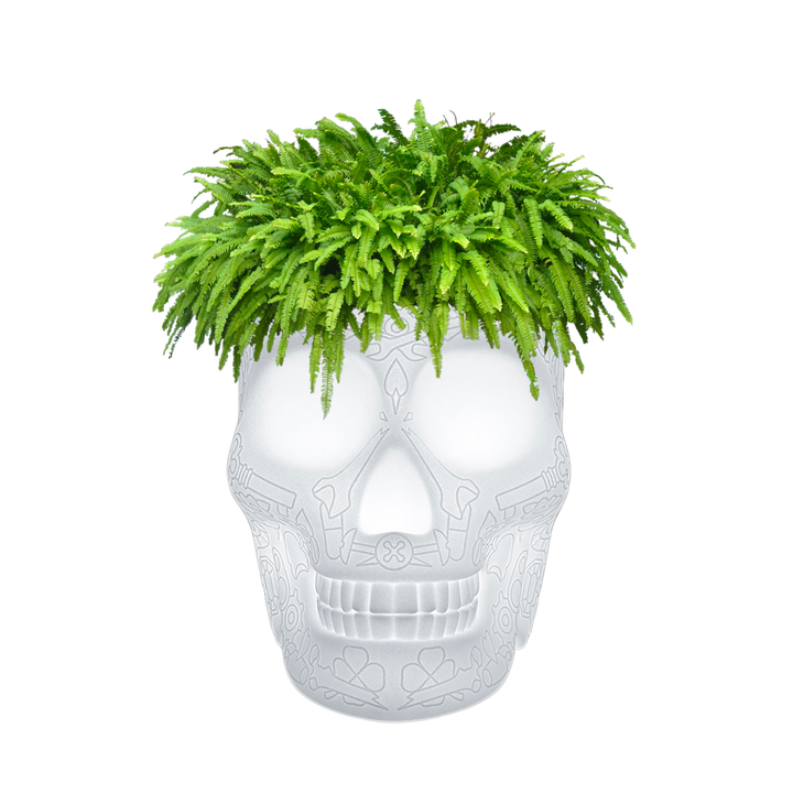 Mexico Planter and Champagne Cooler Lamp with Rechargeable Led Translucent design Studio Job