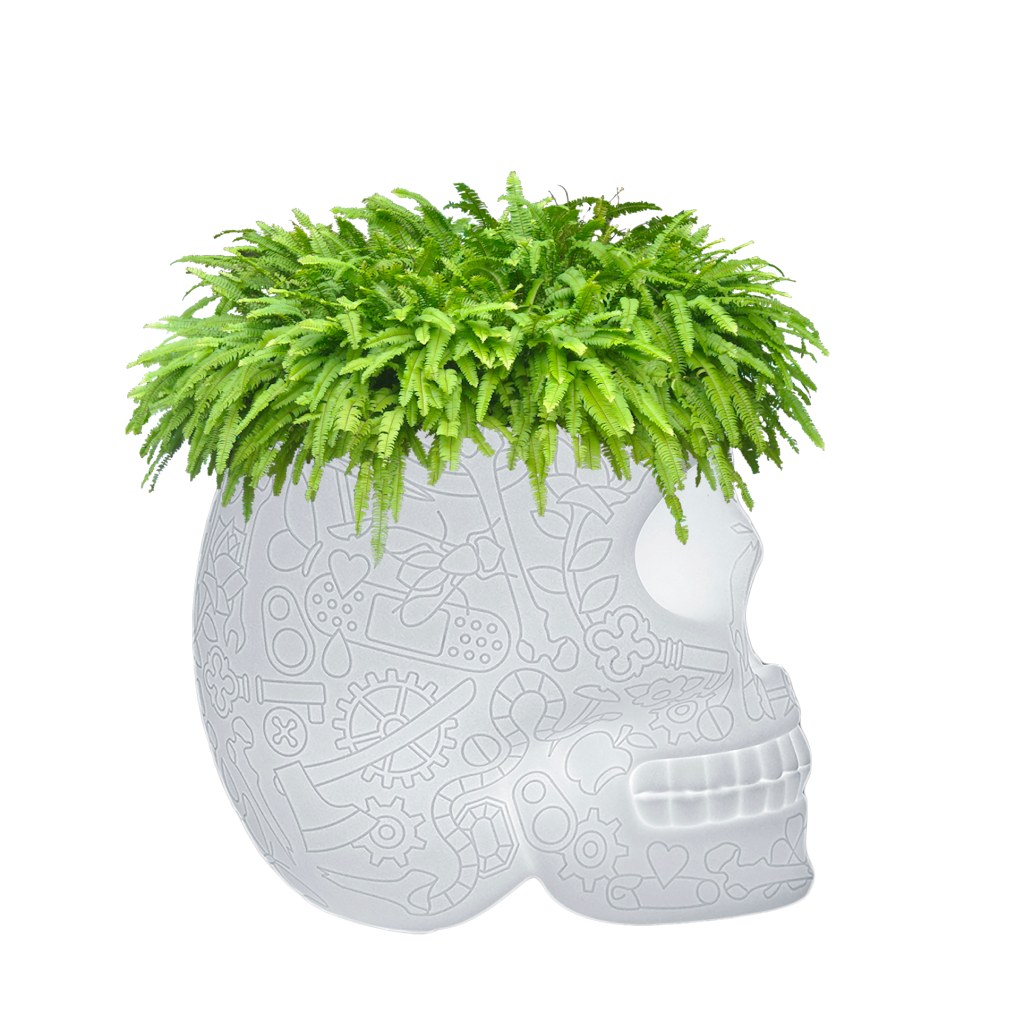 Mexico Planter and Champagne Cooler Lamp with Rechargeable Led Translucent design Studio Job